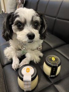 チップ　プリン